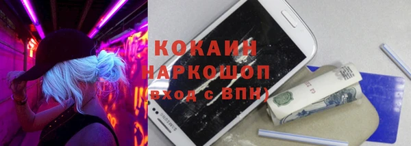 дживик Лагань