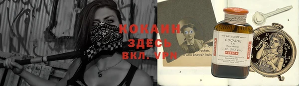 дживик Лагань