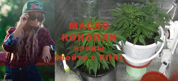 дживик Лагань