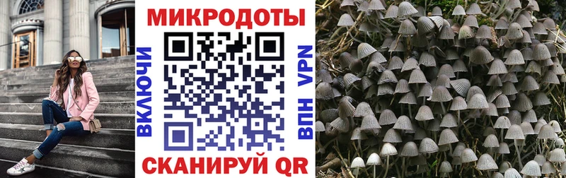 где продают наркотики  Комсомольск-на-Амуре  mega сайт  Галлюциногенные грибы MAGIC MUSHROOMS 